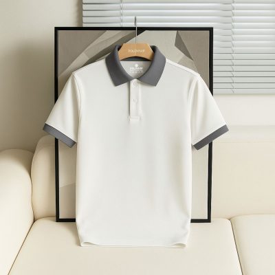 Áo Polo Nam Phối Cổ Lịch Lãm – P30